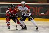 17.9.2009 - (Ässät A-Jokerit A) kuva: 6