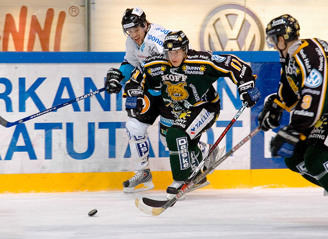 27.11.2007 - (Ilves-Pelicans)