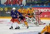 14.9.2013 - (Tappara A-Lukko A) kuva: 4