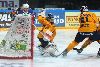 14.9.2013 - (Tappara A-Lukko A) kuva: 7