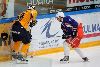 14.9.2013 - (Tappara A-Lukko A) kuva: 22