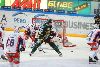 4.1.2014 - (Tappara-Ilves) kuva: 12