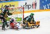 4.1.2014 - (Tappara-Ilves) kuva: 15