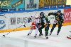 4.1.2014 - (Tappara-Ilves) kuva: 5