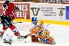 15.1.2008 - (Ässät-Tappara) kuva: 7