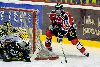 31.1.2008 - (Ässät-Ilves) kuva: 17