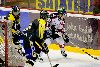 3.11.2007 - (Ässät A-Kärpät A) kuva: 1