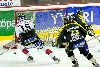 3.11.2007 - (Ässät A-Kärpät A) kuva: 12