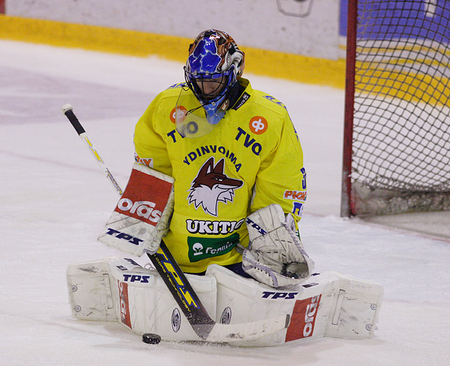 19.1.2008 - (Ässät-Lukko)