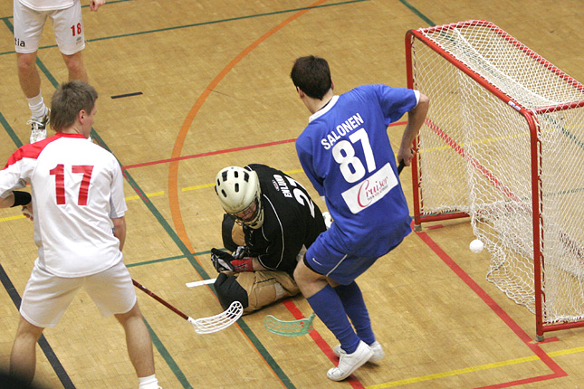 17.2.2008 - (FBT Pori-Blue Fox)