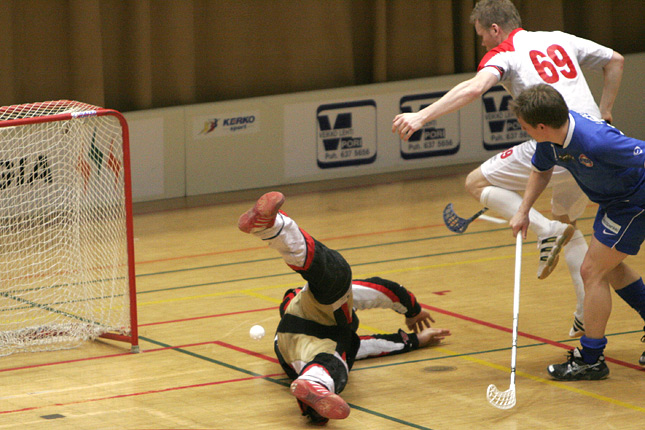 17.2.2008 - (FBT Pori-Blue Fox)