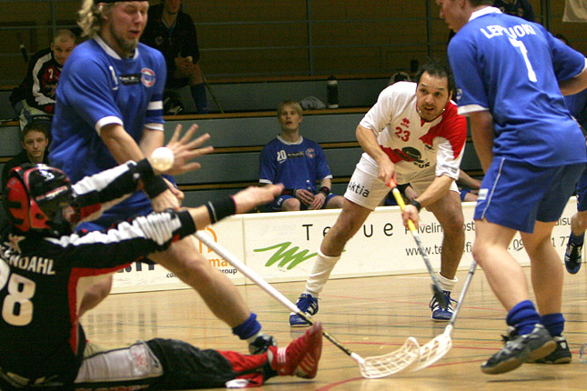 17.2.2008 - (FBT Pori-Blue Fox)