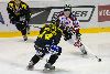 23.3.2008 - (Ässät A-KalPa A) kuva: 18