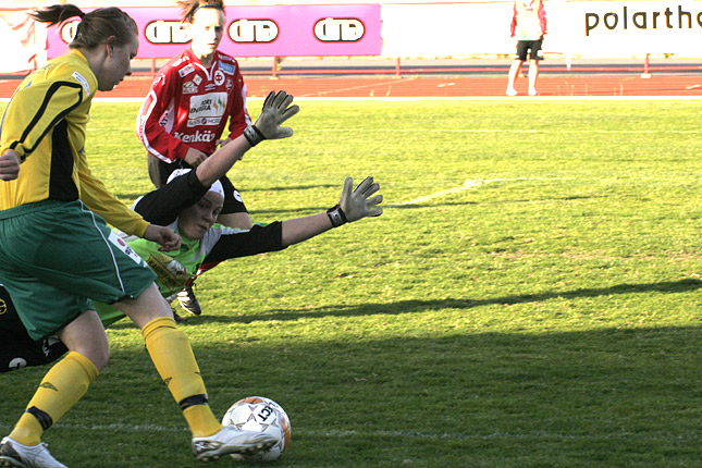 29.5.2008 - (Nice Futis-Ilves)