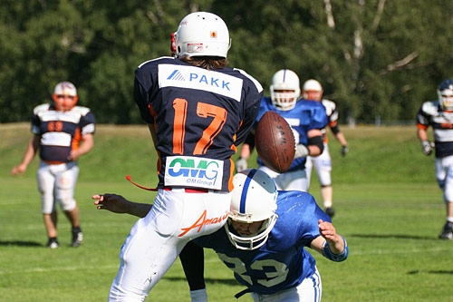 16.7.2006 - (Pori Bears-Tampere Saints)