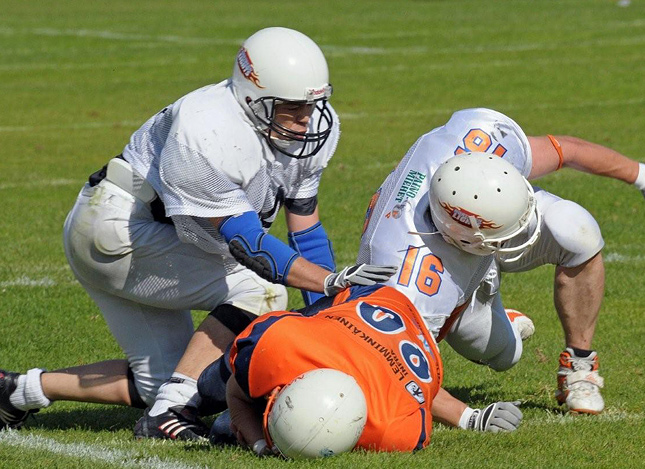 24.8.2008 - (Bears-Northern Lights) 24.8.2008 - (Bears-Northern Lights)