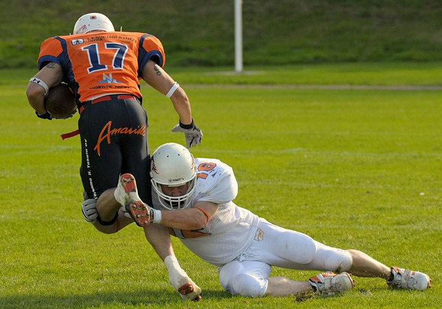 24.8.2008 - (Bears-Northern Lights) 24.8.2008 - (Bears-Northern Lights)