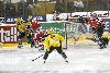 4.10.2008 - (Ässät-Kalpa) kuva: 1