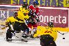 22.11.2008 - (Ässät A-SaiPa A) kuva: 4