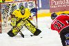 22.11.2008 - (Ässät A-SaiPa A) kuva: 10