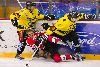 22.11.2008 - (Ässät A-SaiPa A) kuva: 20