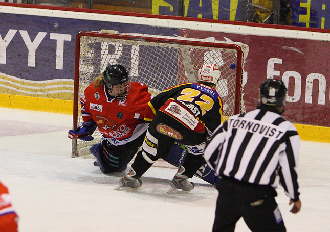 22.11.2008 - (Kärpät-UKP)