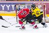 24.1.2009 - (Ässät A-SaiPa A) kuva: 3