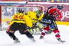 24.1.2009 - (Ässät A-SaiPa A) kuva: 11