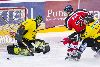 24.1.2009 - (Ässät A-SaiPa A) kuva: 16