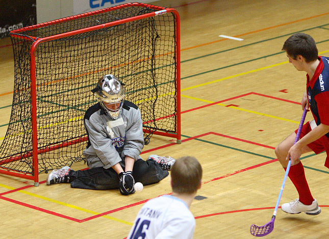 7.2.2009 - (SBS Pori-HIFK)