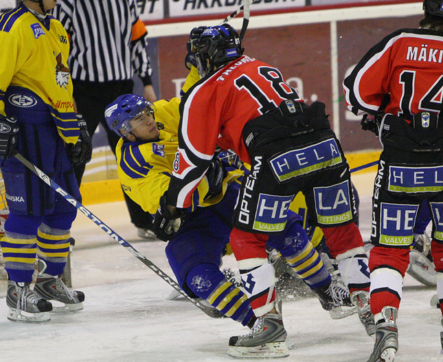 21.3.2009 - (Ässät A-Lukko A)