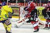 14.9.2006 - (Lukko-Ässät) kuva: 17