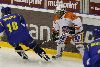 20.8.2009 - (Lukko-Tappara) kuva: 6