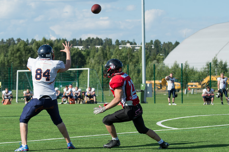 8.6.2013 - (Huskies-Bears)