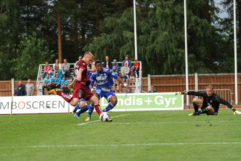 30.6.2013 - (JJK-RoPS)