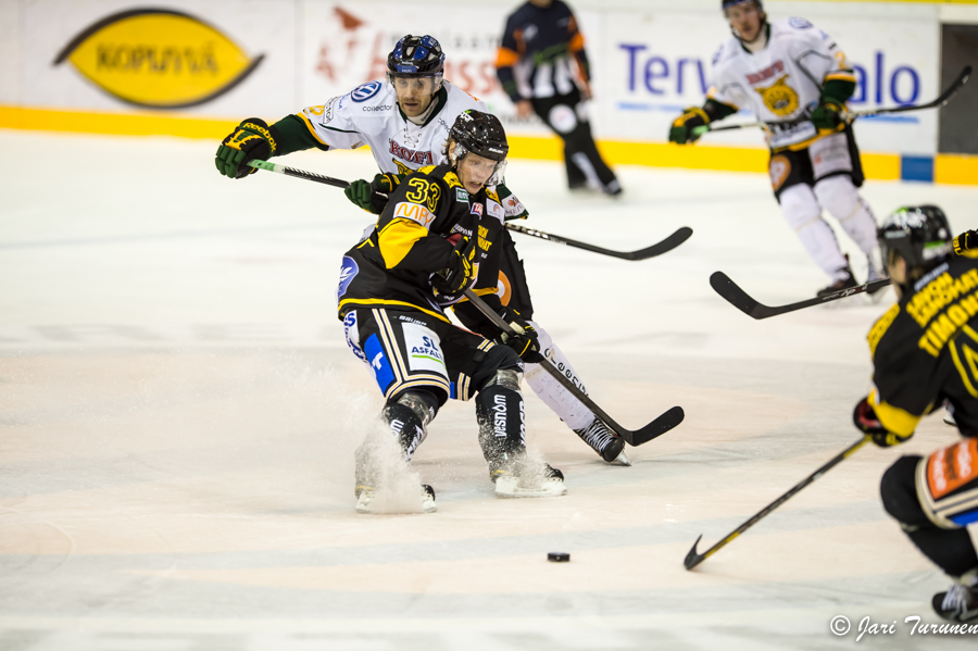 29.11.2013 - (KalPa-Ilves)