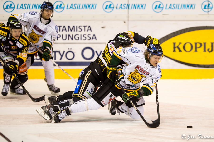 29.11.2013 - (KalPa-Ilves)