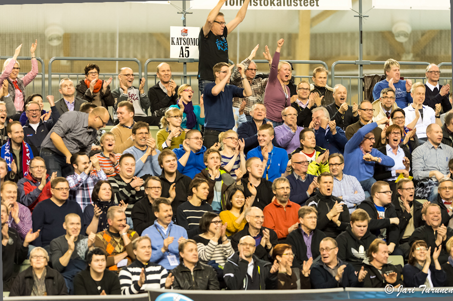 19.02.2013-(Kataja - C.S. Gaz Metan Medias (ROU) )