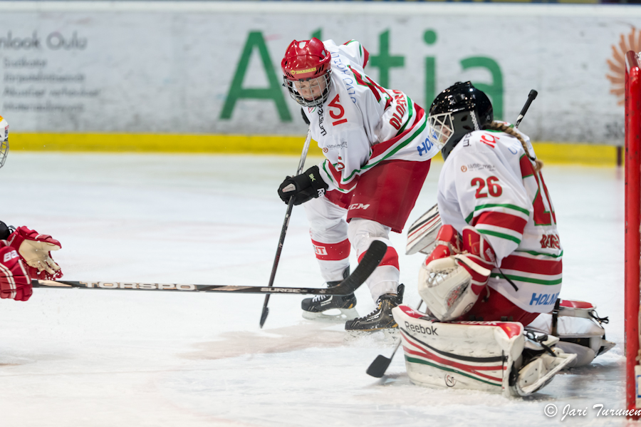 22.02.2013-( Kärpät Oulu (FIN) - Modo Hockey (SWE) )