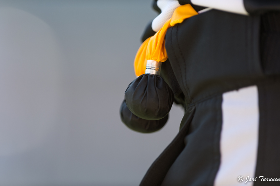 2.6.2013 - (Suomi-Illinois Wesleyan Titans)