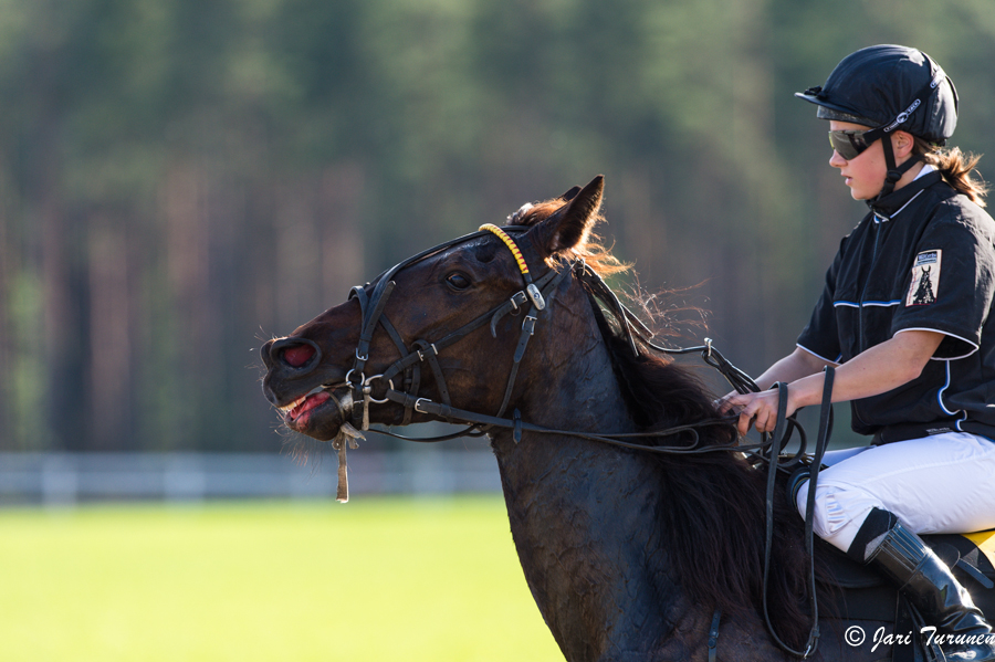 21.6.2013 - (Juhannusravit Vieremä)