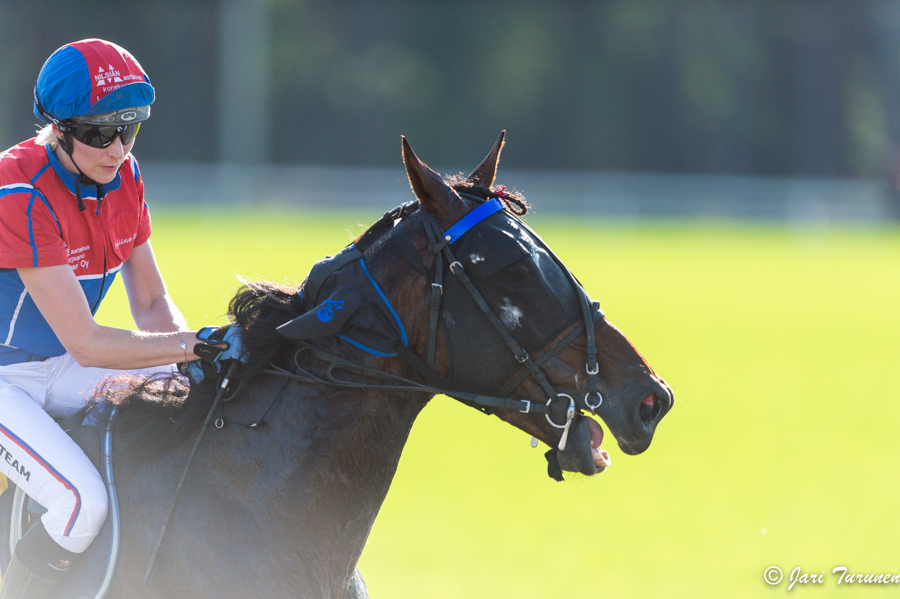21.6.2013 - (Juhannusravit Vieremä)