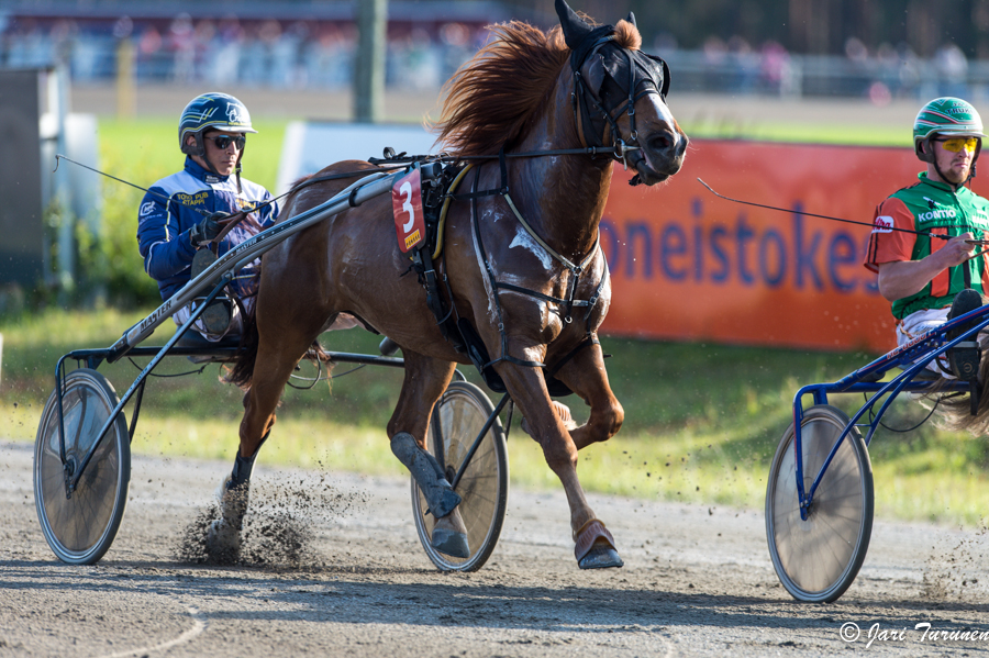 21.6.2013 - (Juhannusravit Vieremä)