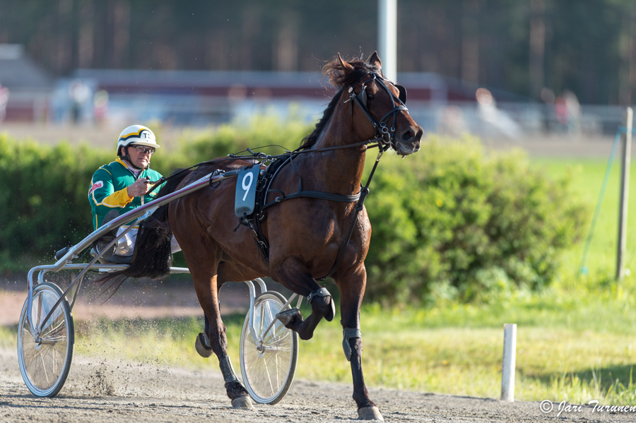 21.6.2013 - (Juhannusravit Vieremä)