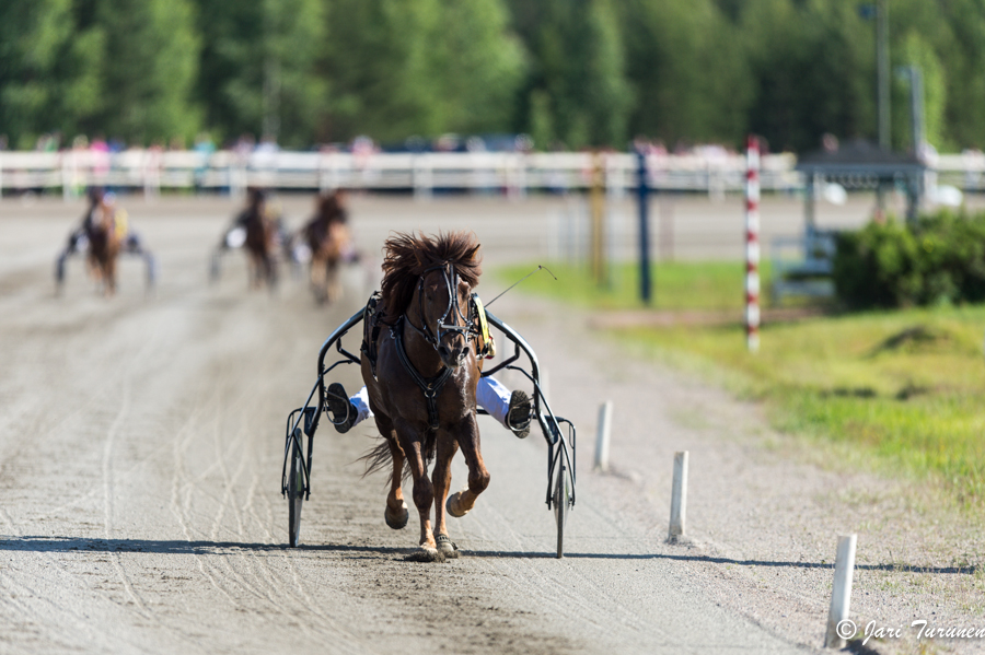 21.6.2013 - (Juhannusravit Vieremä)