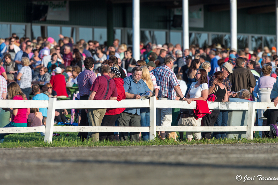 21.6.2013 - (Juhannusravit Vieremä)