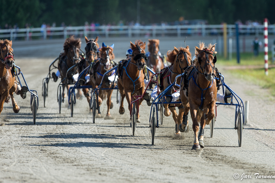 21.6.2013 - (Juhannusravit Vieremä)
