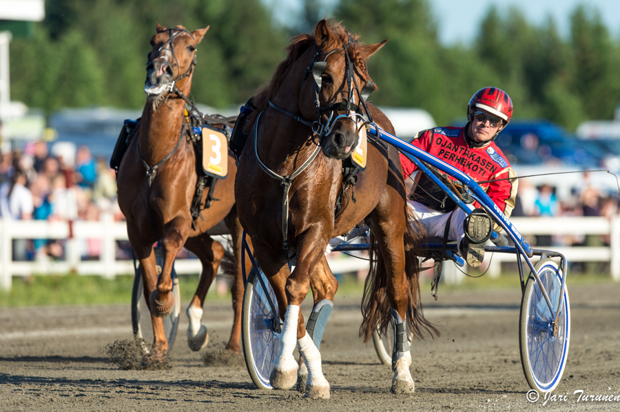 21.6.2013 - (Juhannusravit Vieremä)