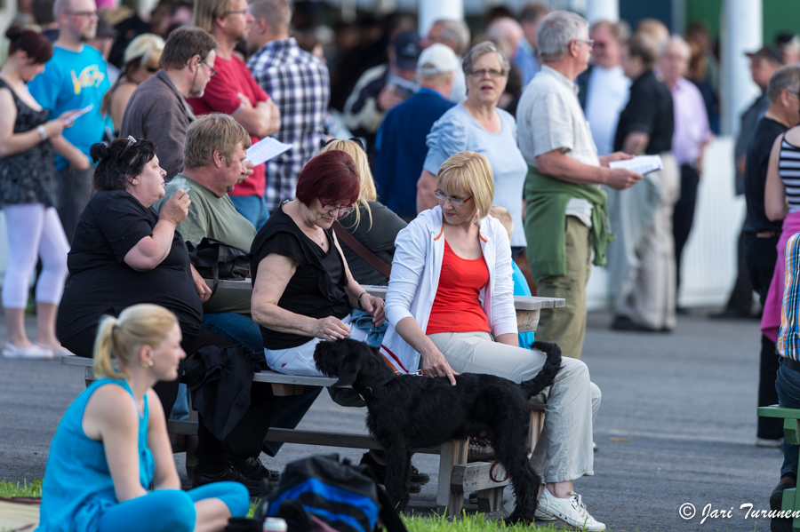 21.6.2013 - (Juhannusravit Vieremä)