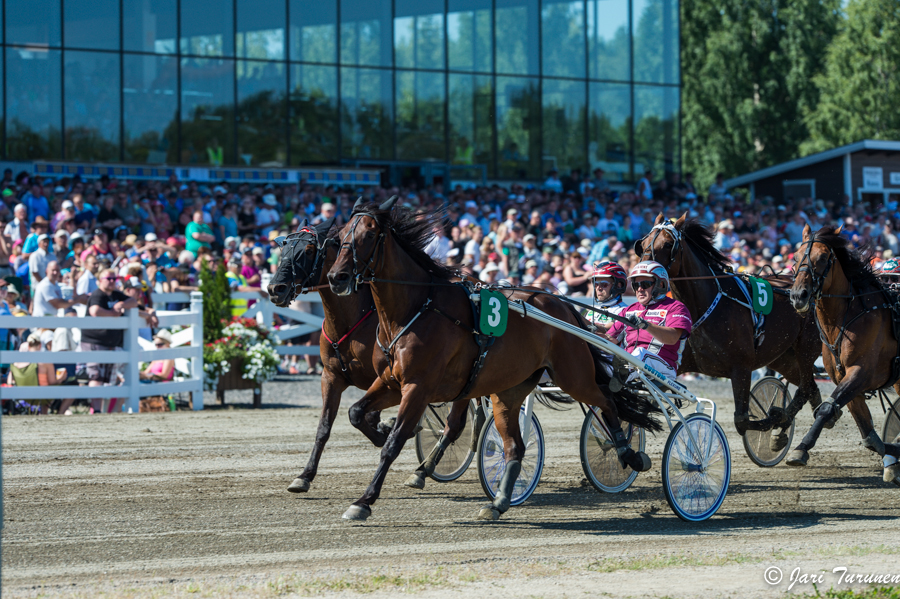 28.7.2013 - (Kuninkuusravit)